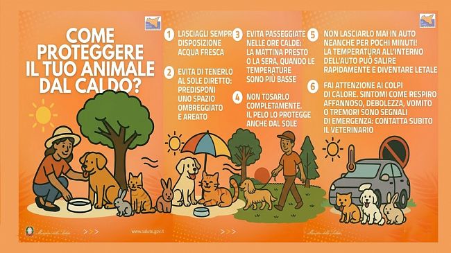 Caldo, l'Asp Trapani lancia le linee guida per proteggere gli animali dalle alte temperature