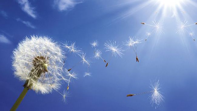 Ultime della sera: “Vocazioni”