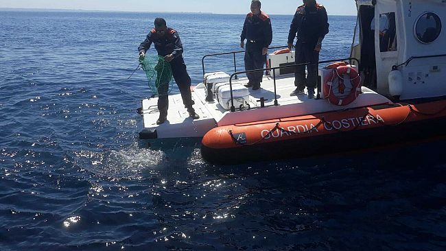 Guardia Costiera, sequestrati 4000 ricci di mare
