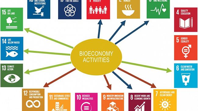 Ultime della sera: “Bioeconomy e Smart Citizens“