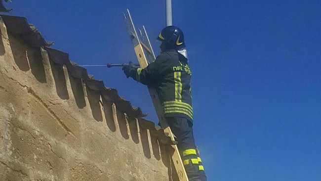 Petrosino. Incendio doloso nei magazzini di proprietà della famiglia D’Alberti.  Il candidato sindaco: “Non ci lasciamo intimidire e continuiamo a testa alta”