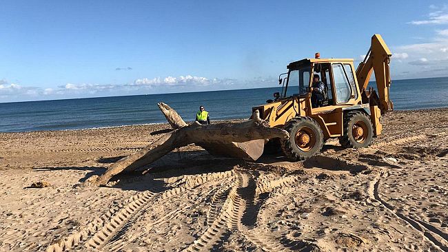 Castellammare, 46 cittadini con difficoltà economiche al lavoro per ripulire spiagge e aree urbane