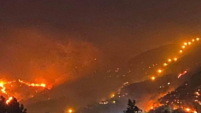 Incendio Erice. Maltese (Codici): Musumeci avvii le opportune indagini