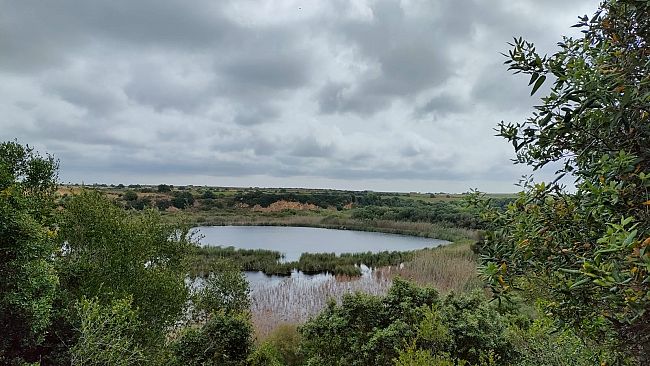 “Una punta di Sal”. Una gita fuori porta: Lago Preola e Gorghi Tondi