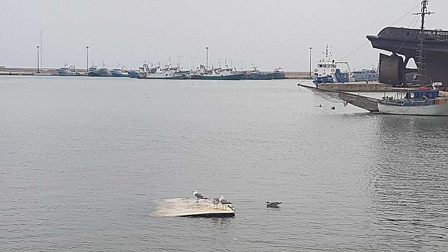 Mazara, “riprendono i lavori di dragaggio del fiume Mazaro”. Nota del sindaco Quinci