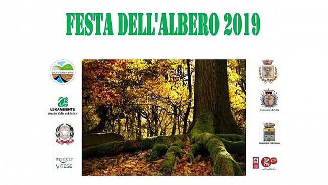 Vita, “Festa dell’Albero”: Anche la Pro Loco Vitese aderisce all’iniziativa