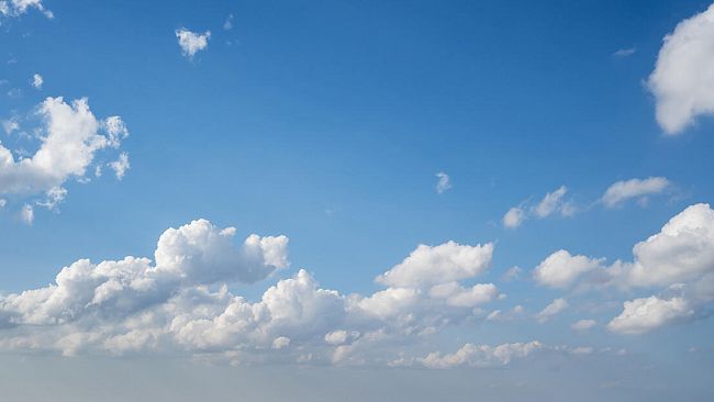 Ultime della sera: “Vita violata”