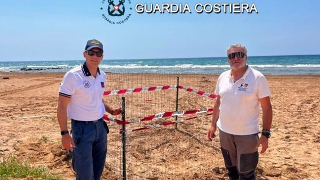 Tornano le tartarughe a “Tre Fontane”: Capitaneria di porto e WWF avviano le misure di tutela 