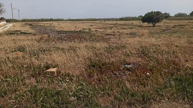 Campobello, avviso locazione di un terreno confiscato alla mafia a Tre Fontane