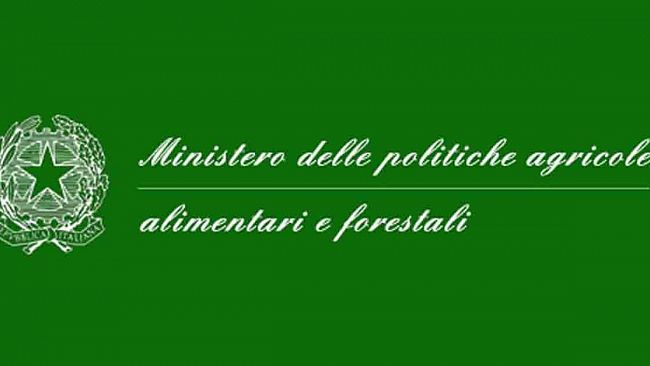 Il Tar Lazio non accoglie il ricorso in sede cautelare di un’azienda contro la modifica dei disciplinari della Igt Terre Siciliane e della Doc Sicilia