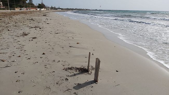 Mazara, Problematiche stagione balneare, SIB e ConfCommercio scrivono al sindaco Quinci