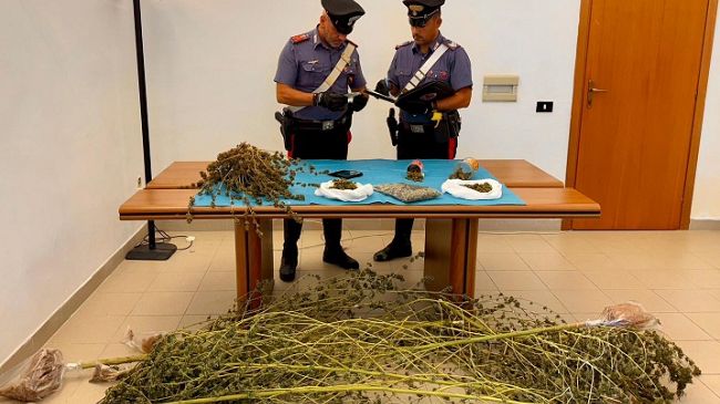arrestato-marsalese-per-coltivazione-di-cannabis