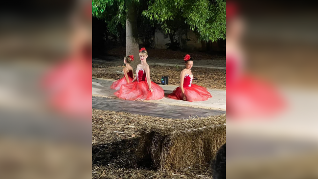 Ultime della sera. ll giardino delle fiabe