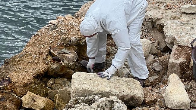 Favignana, intervento di bonifica a Cala Rotonda per rimozione amianto