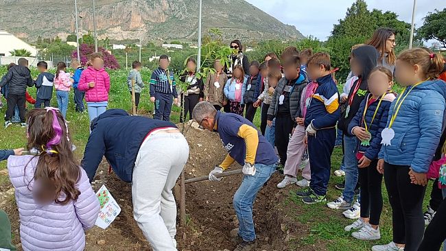 Giornata nazionale dell’albero ad Erice