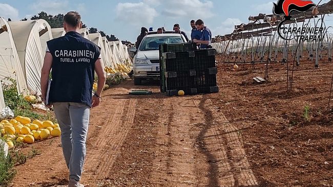 In provincia di Trapani controlli del NIL dei carabinieri nel settore agricolo e della ristorazione