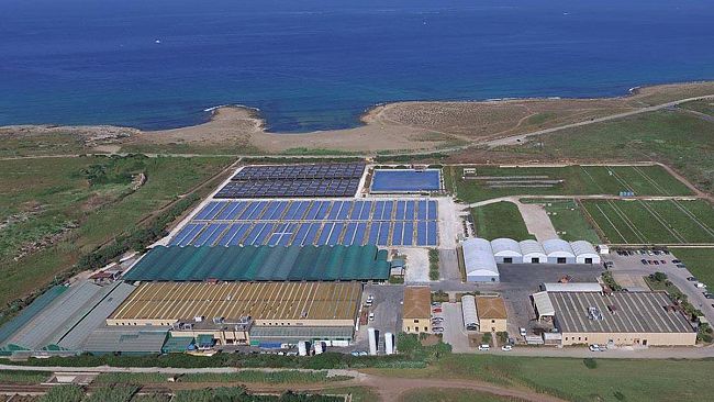 Il Distretto della Pesca vicino all’azienda Acqua Azzurra danneggiata dal maltempo