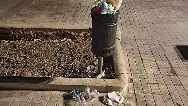 Viale delle Sirene, arrivano le piante per le aiuole ma rimane il problema della spazzatura