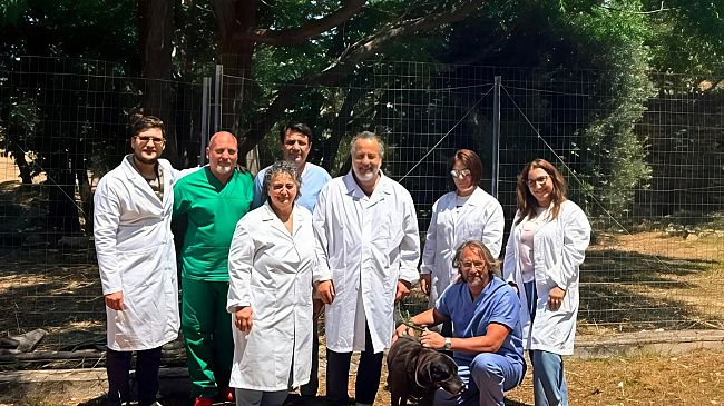 Stop all'abbandono dei cani: al via la campagna Asp