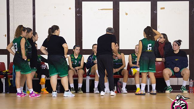 la-102-basket-erice-cerca-i-playoff-domani-arriva-agrigento