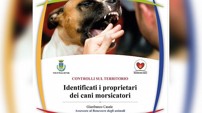 Mazara, Cani di proprietà: l'assessore Casale annuncia serrati controlli