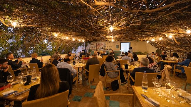 ​Menfi, Inycon 2025 conquista il cuore della Sicilia: migliaia di presenze tra vino, olio, cultura e paesaggio