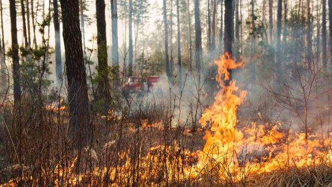 Caltanissetta, prevenzione incendi: emanate misure a tutela del cittadino e dell’incolumità pubblica