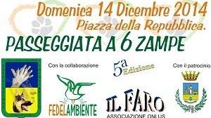 Mazara, domenica la manifestazione “Passeggiata a 6 Zampe”