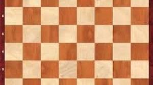 Marino con gli scacchi fa il bis al Liceo Adria-Ballatore