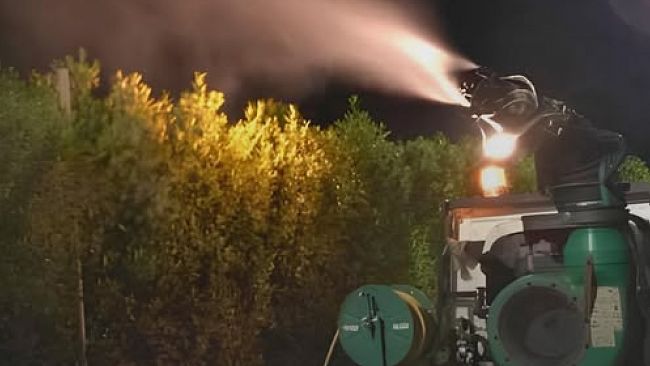 ​Valderice, al via interventi di disinfestazione e derattizzazione