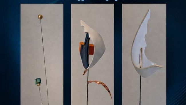 ad-alcamo-in-mostra-i-fiori-vibranti-di-vincenzo-settipani