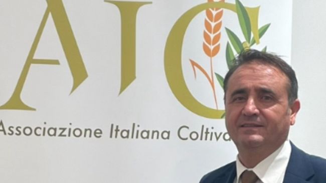 Amoroso (AIC Pesca): 