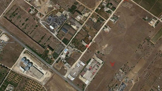 Mazara, canile comunale in immobile confiscato alla mafia. Approvato il progetto