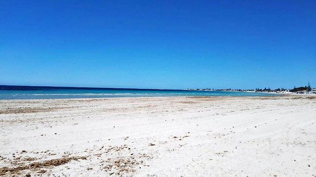 Spiagge libere, servizi di bagni chimici, docce, pedane per disabili, cestini 