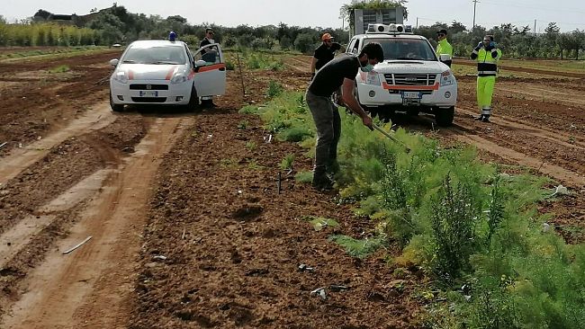 Il Nucleo Operativo Emergenze( N.O.E .) consegna foraggi per gli animali dell’ Happy Circus