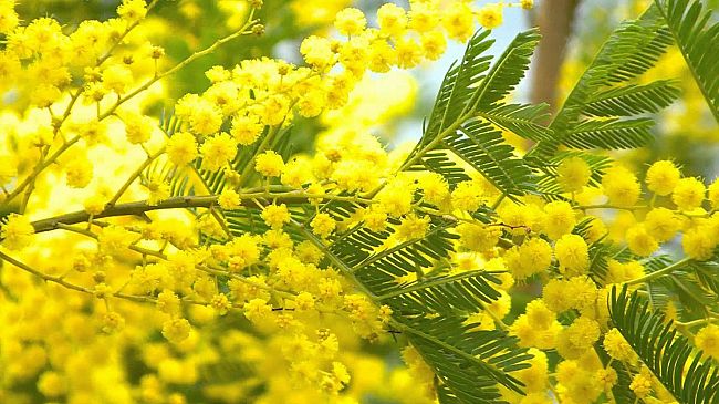 Marsala, 8 marzo commissione pari opportunità