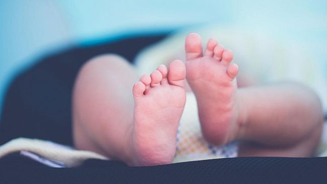 Dimesso neonato dal S. Antonio Abate nato di 25 settimane con peso di 740 grammi