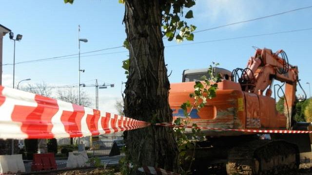 Proroga chiusura al traffico di un tratto della SS 187: il disappunto del Sindaco Daniela Toscano