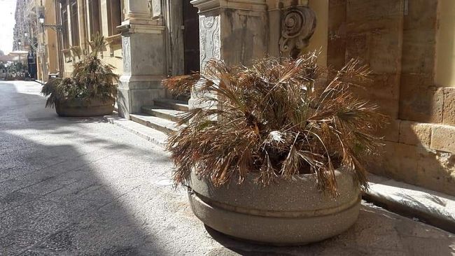 Mollica (DB): consiglio comunale di Trapani in grosse difficoltà e i nodi stanno venendo al pettine!