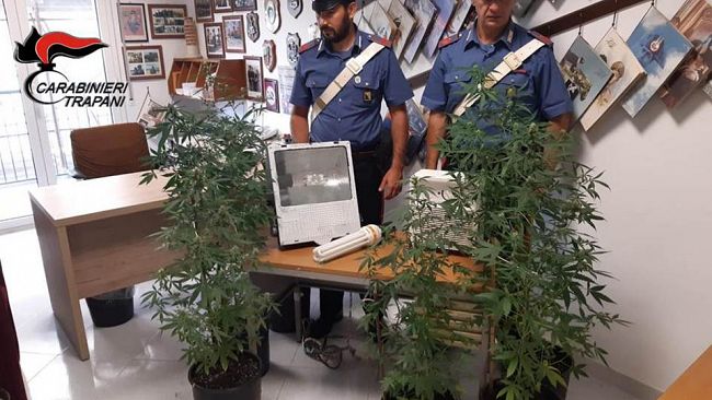 Mazara, i Carabinieri scoprono una serra alimentata con allaccio abusivo alla rete elettrica: due fratelli in manette