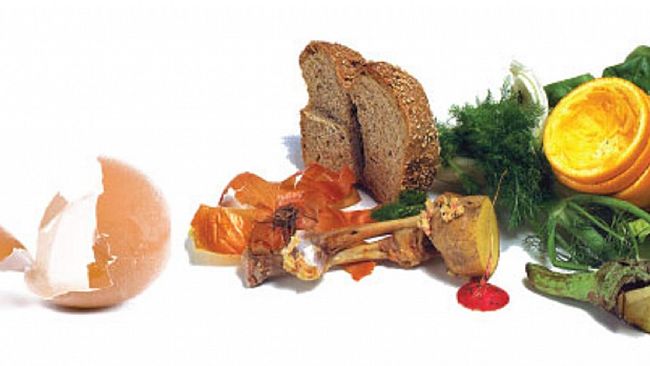 Riparte domani  la raccolta dell’organico a Campobello