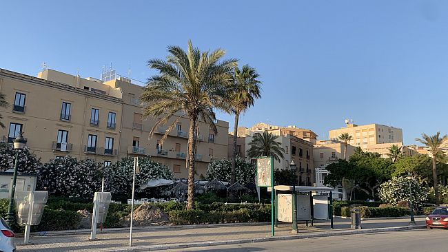 Il Rotary contribuisce al verde pubblico. Sei nuove palme per piazza Garibaldi