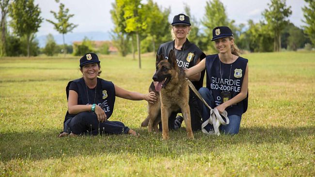 Sicilia. Al via il corso gratuito per guardie zoofile Oipa