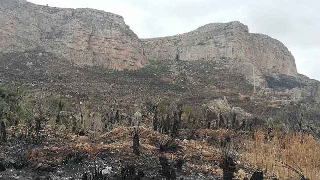 Incendio nell'ericino, il desolante