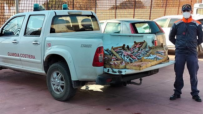 Trapani, sequestrati oltre 55 Kg di prodotti ittici privi di tracciabilità