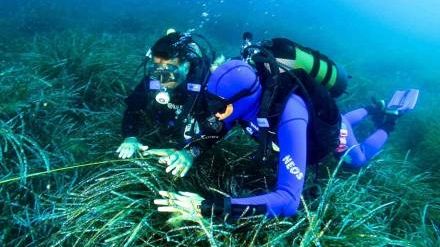 Un mare per tutti: la Sicilia rende accessibili i siti archeologici subacquei ai disabili