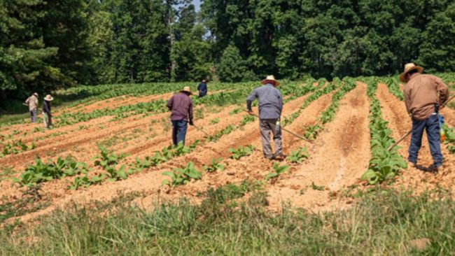 Petrosino, il 19 ottobre seminario sul tema 