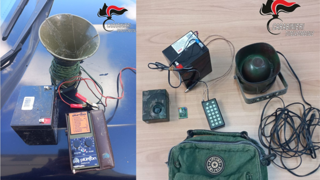 Castelvetrano, utilizzano richiami acustici per attirare volatili. Denunciati 3 cacciatori