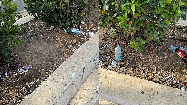  Mazara, rifiuti nell'aiuola della fermata del bus di via Casa Santa