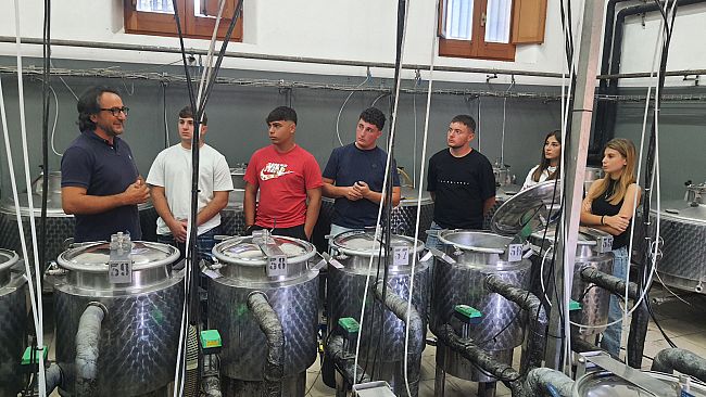 Marsala, Istituto Tecnico Agrario “Abele Damiani”: avviato progetto di valorizzazione delle proprie produzioni vinicole
